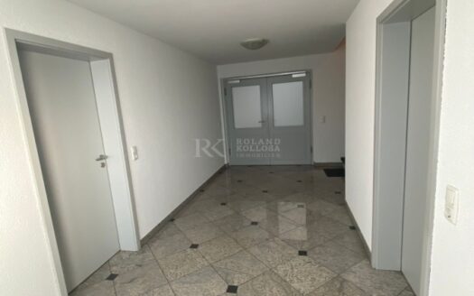 Lagerhalle mit repräsentativen Büro sowie Wohnfläche in Lampertheim zu vermieten.