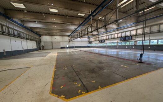 Unternehmensstandort – Halle/Produktion in Giesen zu verkaufen